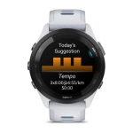 010-02810-11-3.webp